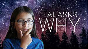 Tai Asks Why
